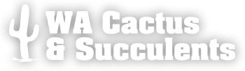 WA Cactus & Succulent Supply